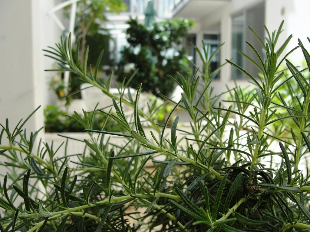 B&B Alma Grande Brindisi Bagian luar foto